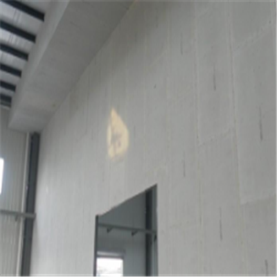罗田宁波ALC板|EPS加气板隔墙与混凝土整浇联接的实验研讨